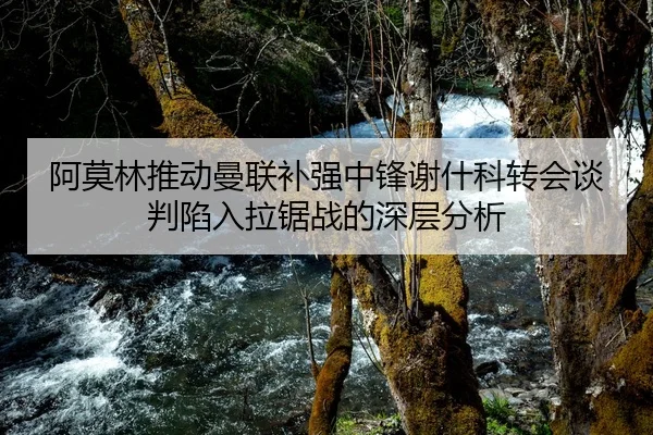 阿莫林推动曼联补强中锋谢什科转会谈判陷入拉锯战的深层分析