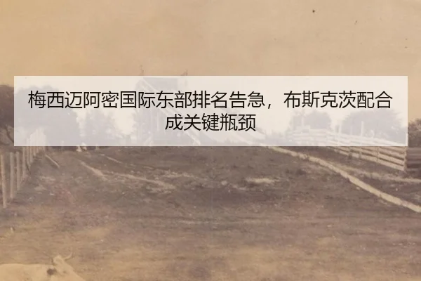 mei-xi-mai-a-mi-guo-ji-dong-bu-pai-ming-gao-ji-bu-si-ke-ci-pei-he-cheng-guan-jian-ping-jing-3-582.jpg